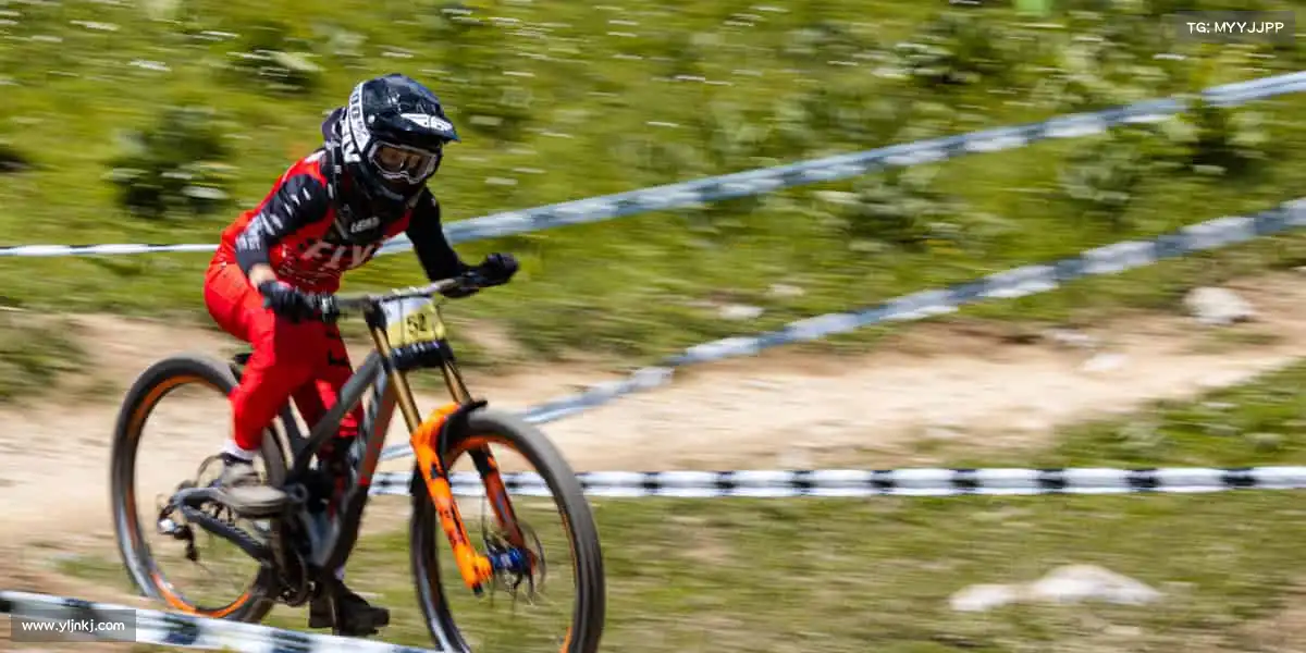 行业领先的理由